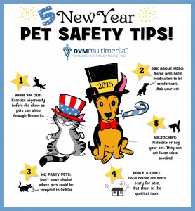 Pet Safty New Year