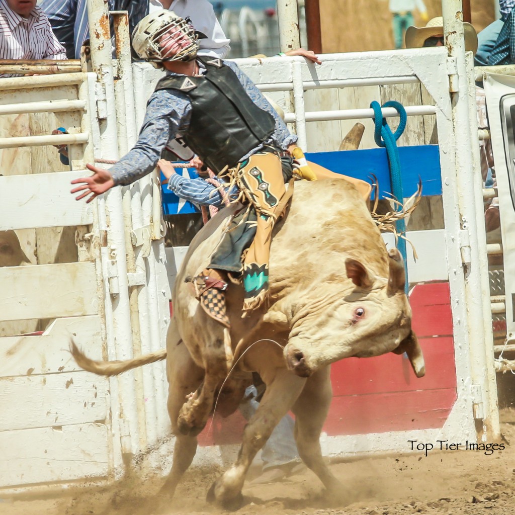 Go Oakdale Oakdale Rodeo Modestoview